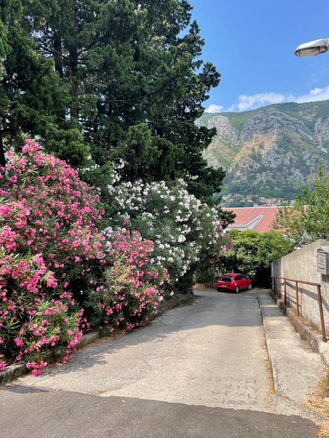 Apartment Garden Kotor Exterior photo